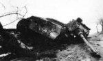 Pz.Kpfw. VI (II) 37.jpg