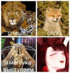 Без имени-1.jpg