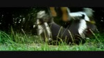 Armour mobility.webm