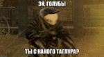 33uu7c[1].jpg