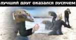 15650160883211.png