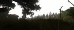 test 4k.webm