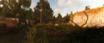 ssskilldex09-19-1906-54-49(l08yantar).jpg
