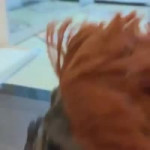 15709145132560.mp4