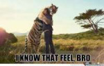 images[1]