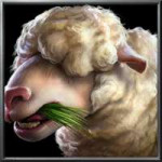 btnsheep-result.png