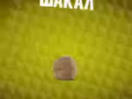 Шакал.webm