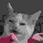 15515952528960.jpeg