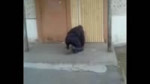 14687922103890.webm