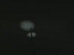 15592618455660.webm