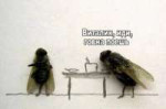 для витали.jpeg