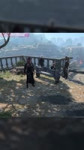 16940880031910.mp4