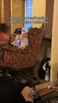 17000673495500.webm