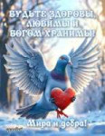 IMG20250221110449485.jpg