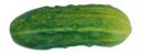 cucumberPNG12611[1].png