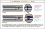 2AR-15-223-vs-556[1].jpg