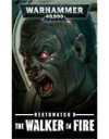 BLPROCESSED-walker-in-fire-ebook