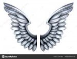 depositphotos184512888-stock-illustration-silver-metal-wings.jpg