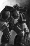 RavenGuard shrike.jpg