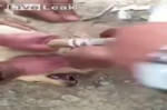 LiveLeak.com - Peshmergas take care of a Dog that stepped o[...].webm