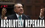 nepekaka erdogan.png