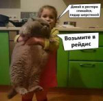 кисос.png