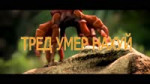 15474168112070.mp4