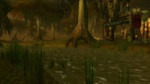 Swamp of Sorrows 2.webm