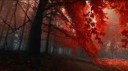 IMG20170121232635.jpg