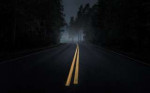 247350-road-mist-dark-trees-asphalt-yellow-night-pinetrees-[...].jpg