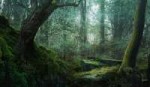 concept-art-robh-ruppel-uncharted-3-forest-2