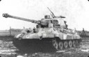 Tigerii008cw19a.jpg