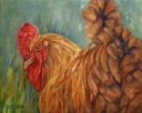 dontbothertheroosteroilpaintingchickenartfbirdsanimals9a411[...].jpg