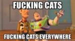 fucking-cats-fucking-cats-everywhere.jpg