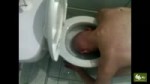 туалетный шнырь