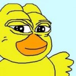найс пепе.jpg