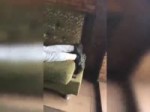 15268465003750.mp4