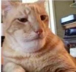 1520091920756.jpeg