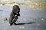 sud-soudan enfant perdu.jpg