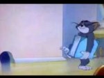 15320283444932.mp4