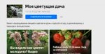 Моя цветущая дача - Яндекс Дзен 24-07-2018 0-12-59.png