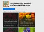 Цветы в квартире и на даче – от Радзевской Виктории - Яндек[...].png