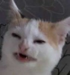 1images.jpg