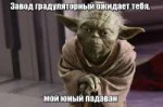 lol1502354321.jpg