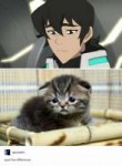 Voltron.jpg