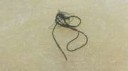 IMG20170508130853.jpg