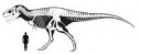 trexsizecomparisonbyrexfan684-d9mq8ih.jpg