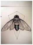 2530bbf21bb15dafc77c4400f00f22a4--cicada-tattoo-insect-tatt[...].jpg