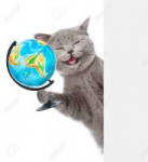 61947587-happy-cat-holding-globe-and-peeking-from-behind-em[...].jpg