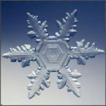 beautifulsnowflakes27.jpg